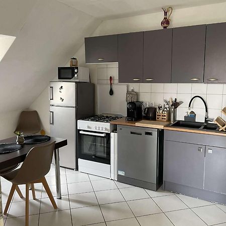 Joli Appartement Avec Place De Parking Prive Colmar Esterno foto