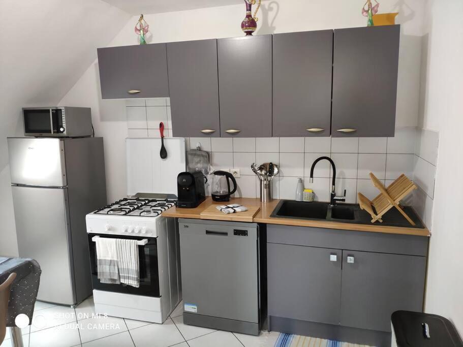 Joli Appartement Avec Place De Parking Prive Colmar Esterno foto