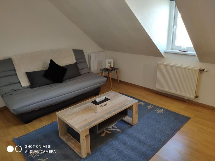 Joli Appartement Avec Place De Parking Prive Colmar Esterno foto