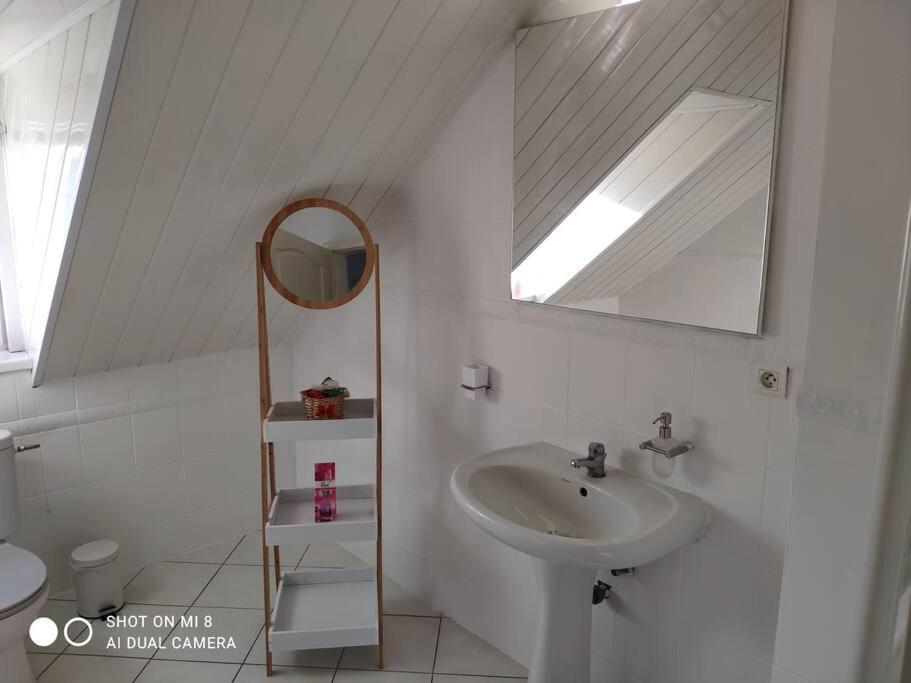 Joli Appartement Avec Place De Parking Prive Colmar Esterno foto