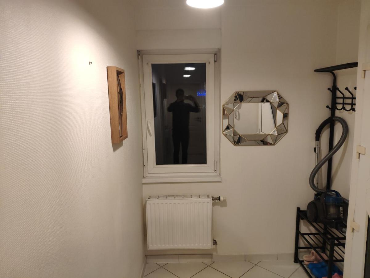 Joli Appartement Avec Place De Parking Prive Colmar Esterno foto